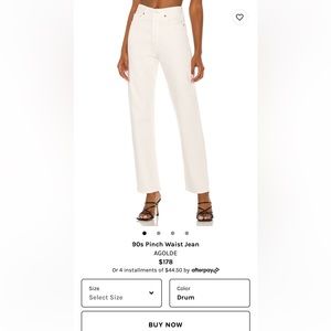 AGOLDE 90s Pinch Waist Jean NWT